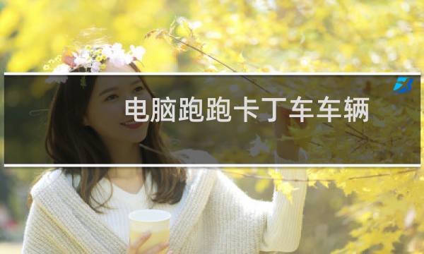 电脑跑跑卡丁车车辆