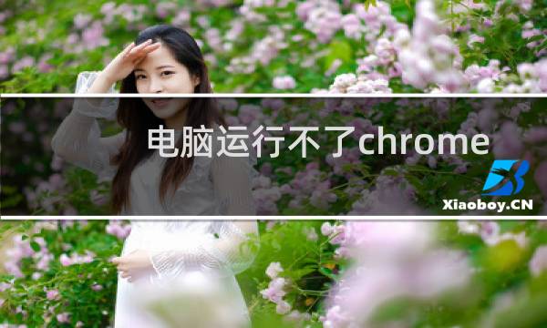 电脑运行不了chrome