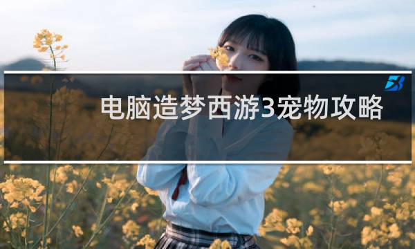 电脑造梦西游3宠物攻略