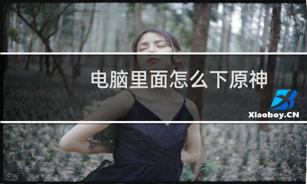 电脑里面怎么下原神