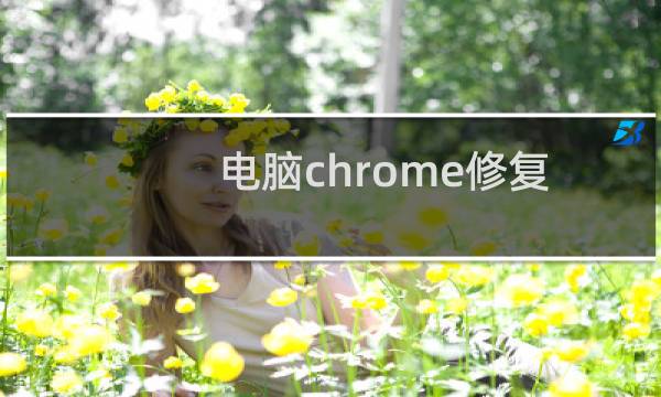 电脑chrome修复