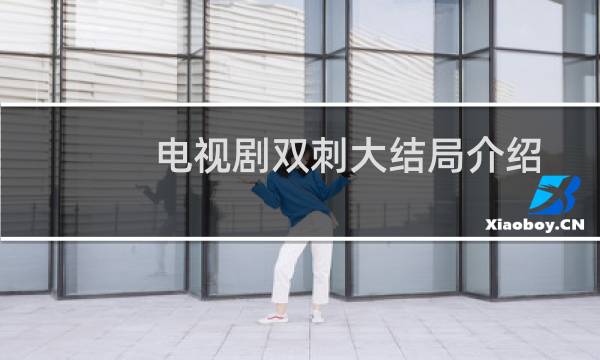 电视剧双刺大结局介绍
