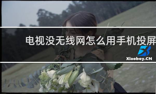 电视没无线网怎么用手机投屏