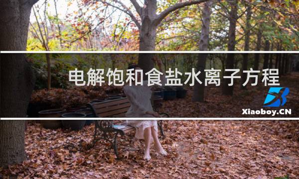 电解饱和食盐水离子方程