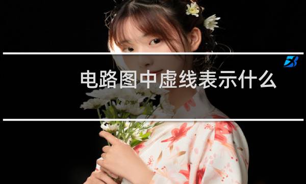 电路图中虚线表示什么