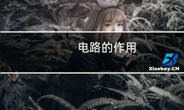 电路的作用