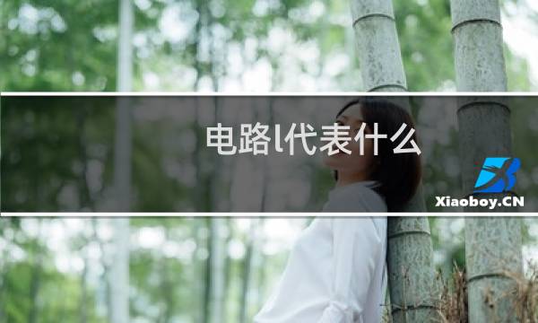 电路l代表什么