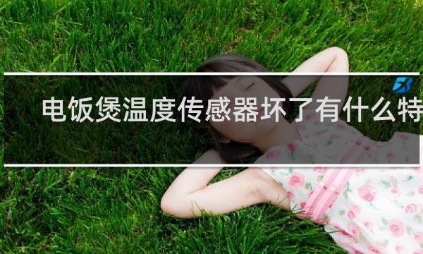 电饭煲温度传感器坏了有什么特征