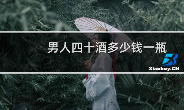 男人四十酒多少钱一瓶
