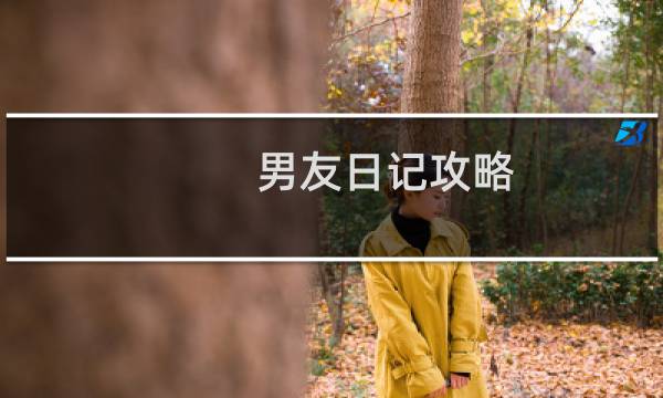 男友日记攻略