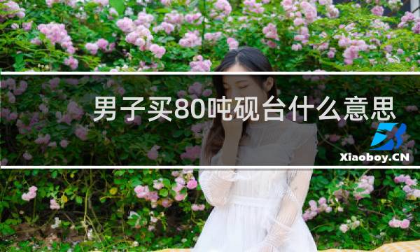 男子买80吨砚台什么意思