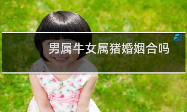 男属牛女属猪婚姻合吗