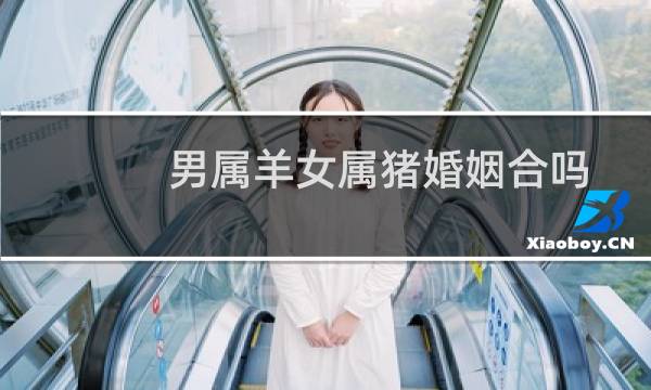 男属羊女属猪婚姻合吗