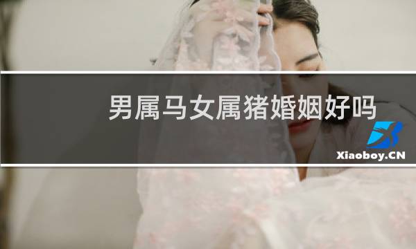 男属马女属猪婚姻好吗