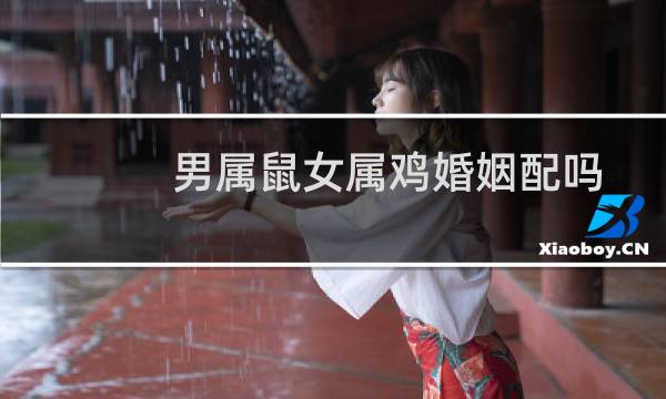男属鼠女属鸡婚姻配吗