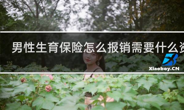 男性生育保险怎么报销需要什么资料