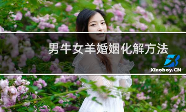 男牛女羊婚姻化解方法