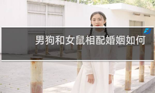 男狗和女鼠相配婚姻如何