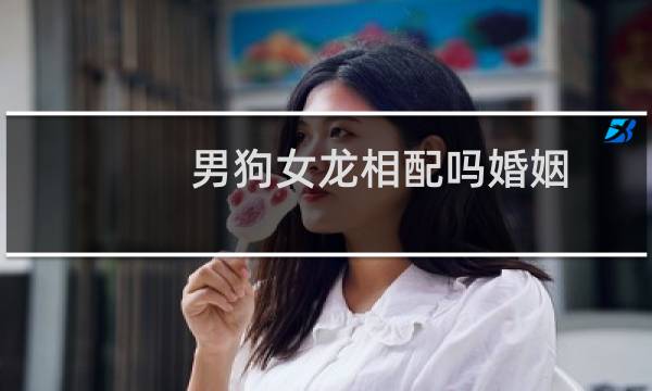 男狗女龙相配吗婚姻