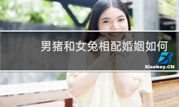 男猪和女兔相配婚姻如何