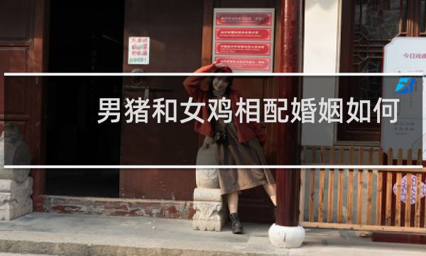 男猪和女鸡相配婚姻如何