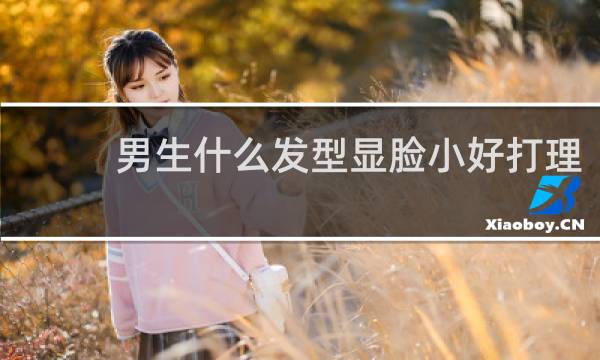 男生什么发型显脸小好打理