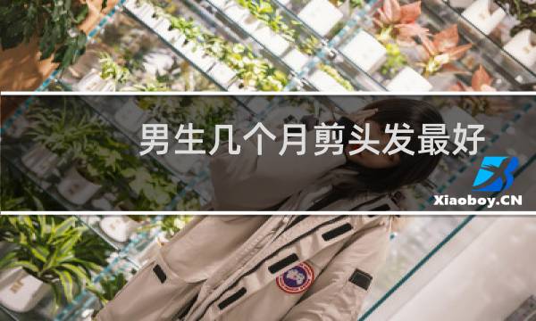 男生几个月剪头发最好