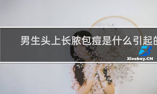 男生头上长脓包痘是什么引起的