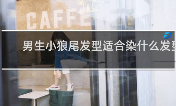 男生小狼尾发型适合染什么发型
