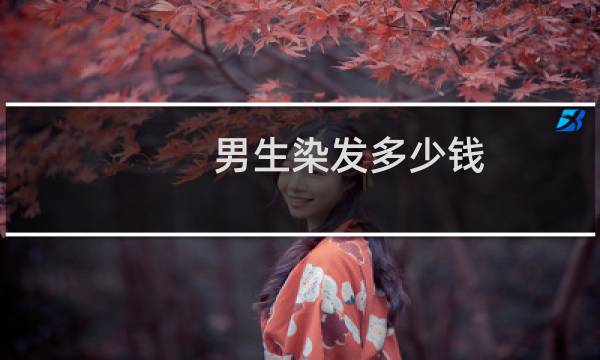 男生染发多少钱