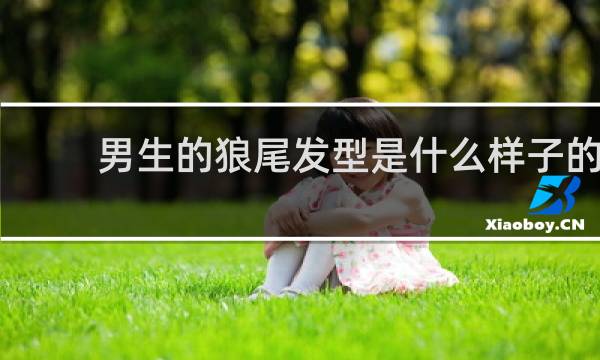 男生的狼尾发型是什么样子的