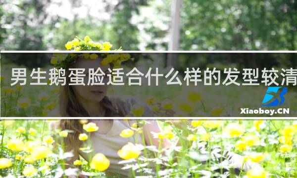 男生鹅蛋脸适合什么样的发型较清爽的