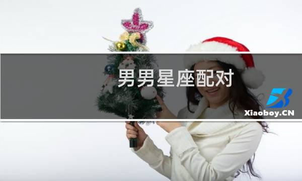 男男星座配对