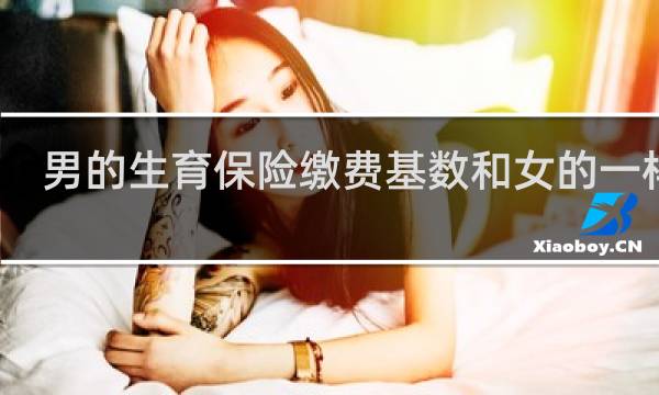 男的生育保险缴费基数和女的一样吗