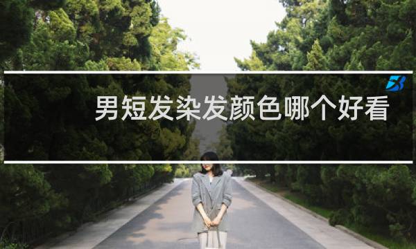 男短发染发颜色哪个好看