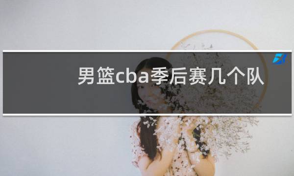 男篮cba季后赛几个队