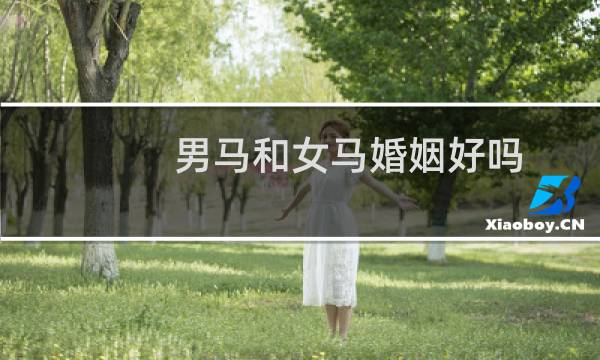 男马和女马婚姻好吗