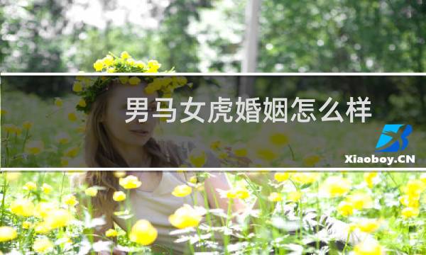 男马女虎婚姻怎么样