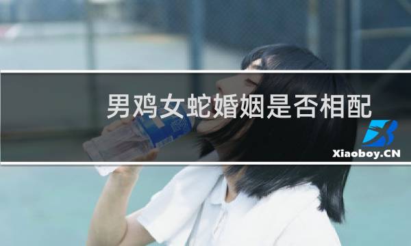 男鸡女蛇婚姻是否相配