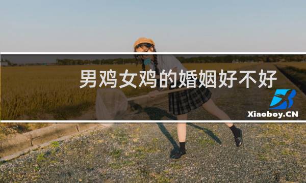 男鸡女鸡的婚姻好不好
