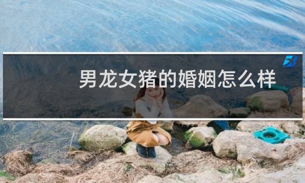 男龙女猪的婚姻怎么样