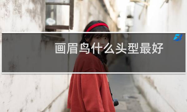 画眉鸟什么头型最好 耐打