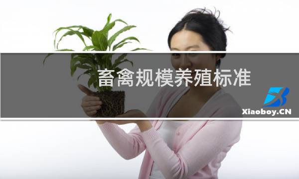 畜禽规模养殖标准
