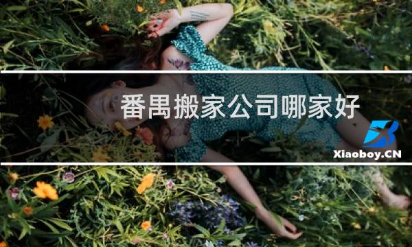 番禺搬家公司哪家好
