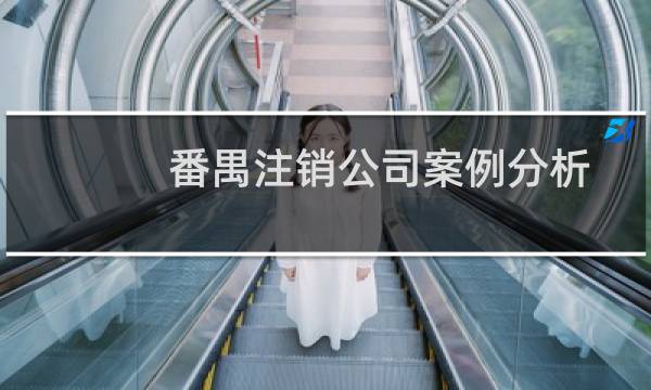 番禺注销公司案例分析