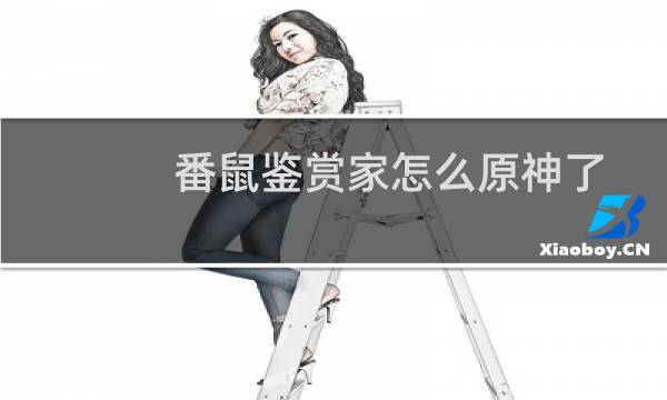 番鼠鉴赏家怎么原神了