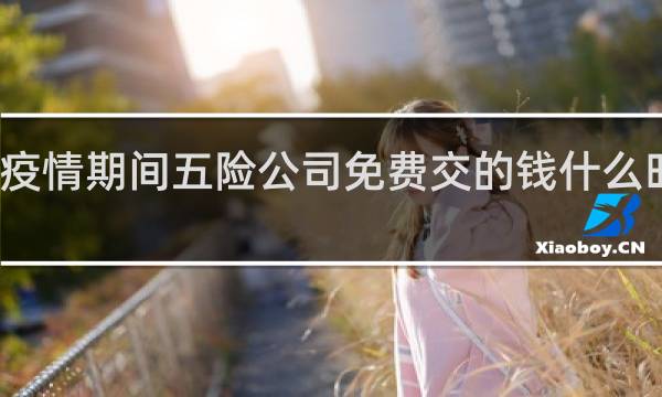 疫情期间五险公司免费交的钱什么时候退