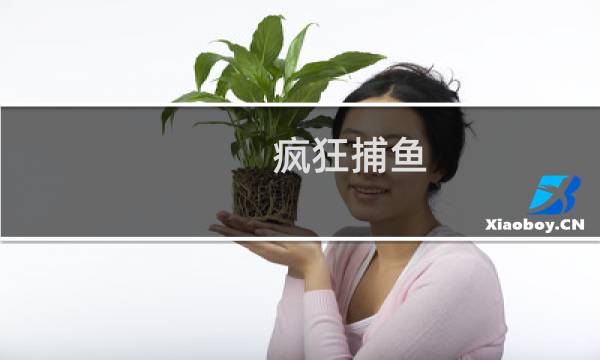 疯狂捕鱼 攻略