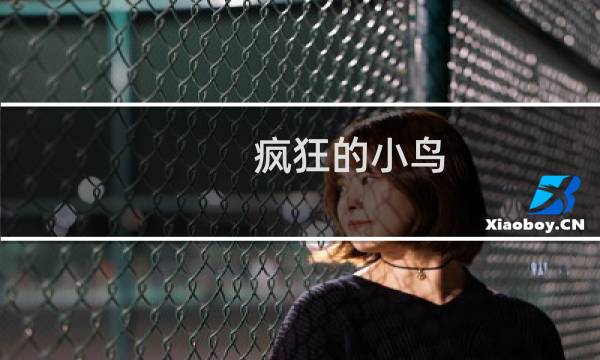 疯狂的小鸟 攻略