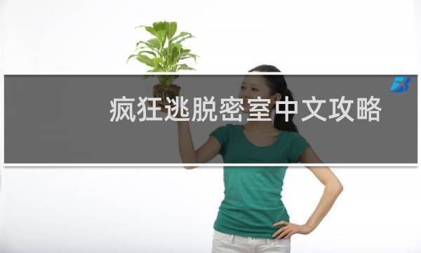 疯狂逃脱密室中文攻略